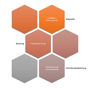 Diagramm zur Veranschaulichung der psychologischen Leistungen